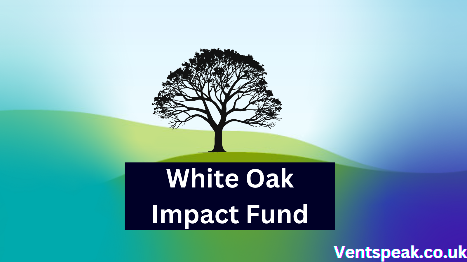 White Oak Impact Fund: A Journey Towards Sustainable Investing