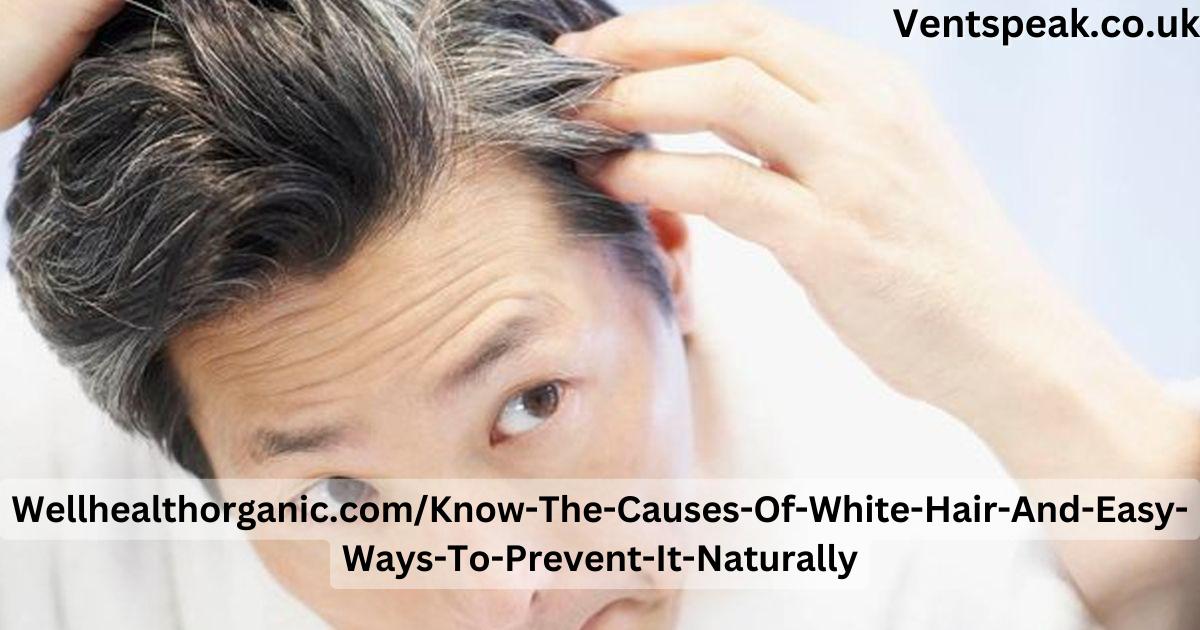 Wellhealthorganic.com/Know-The-Causes-Of-White-Hair-And-Easy-Ways-To-Prevent-It-Naturally
